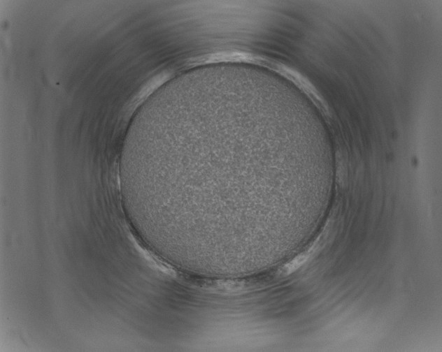 X0000072971241200608211314