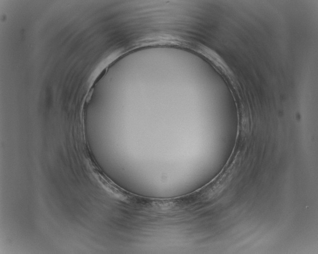 X0000072971242200608211314