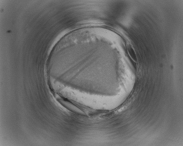 X0000072971243200608211314