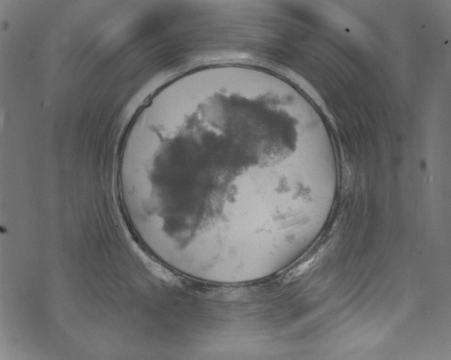 X0000072971245200608211314