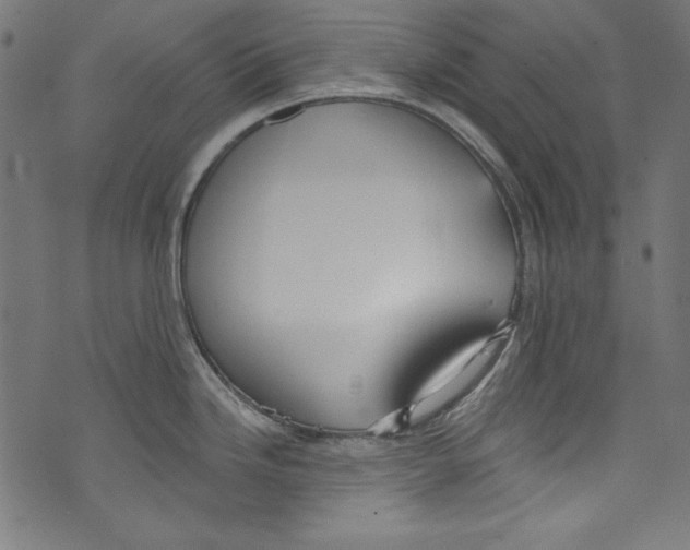 X0000072971246200608211314