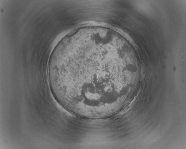 X0000072971247200608211314