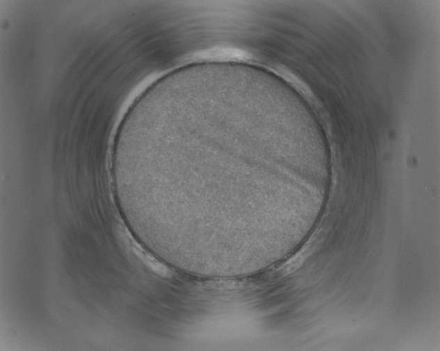 X0000072971248200608211314