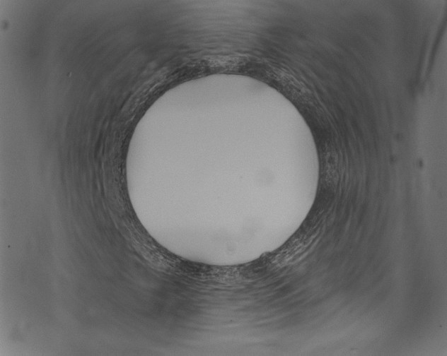 X0000072971249200608211313