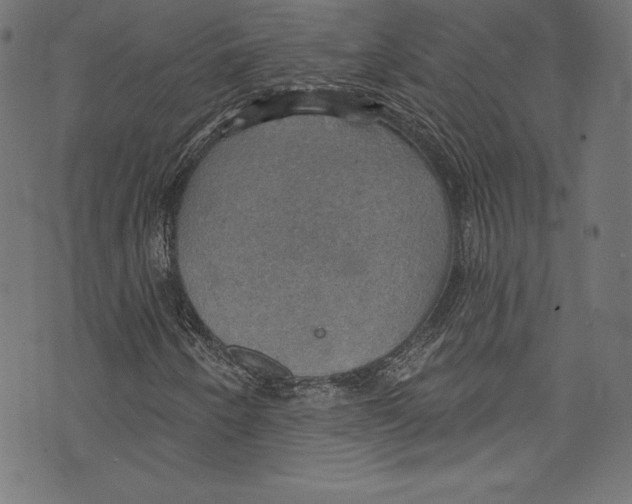 X0000072971250200608211313