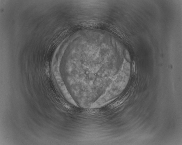 X0000072971251200608211313