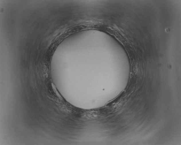 X0000072971253200608211313