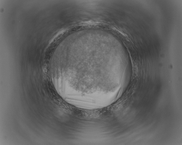 X0000072971254200608211313