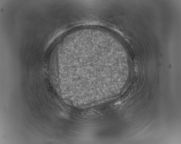 X0000072971255200608211313