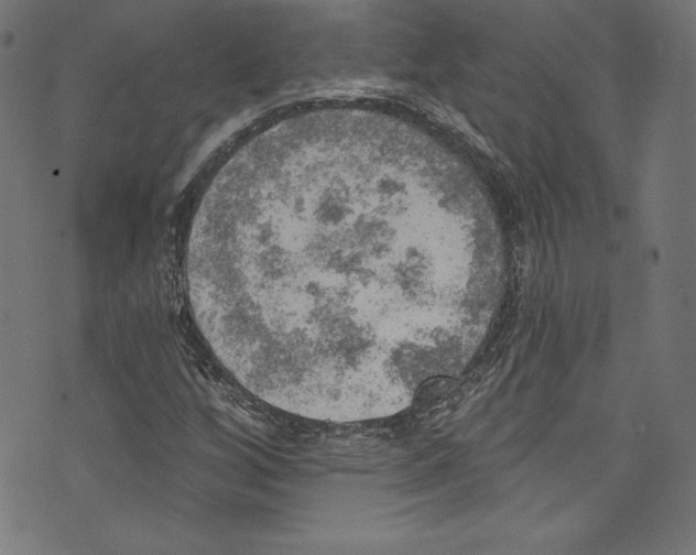 X0000072971256200608211313