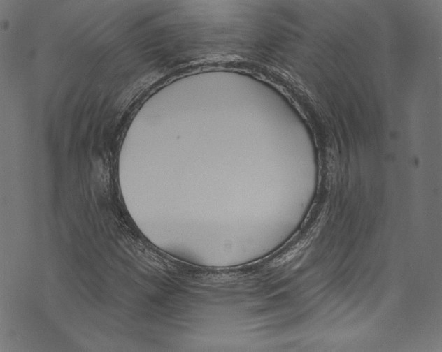 X0000072971257200608211313