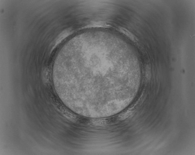 X0000072971258200608211313