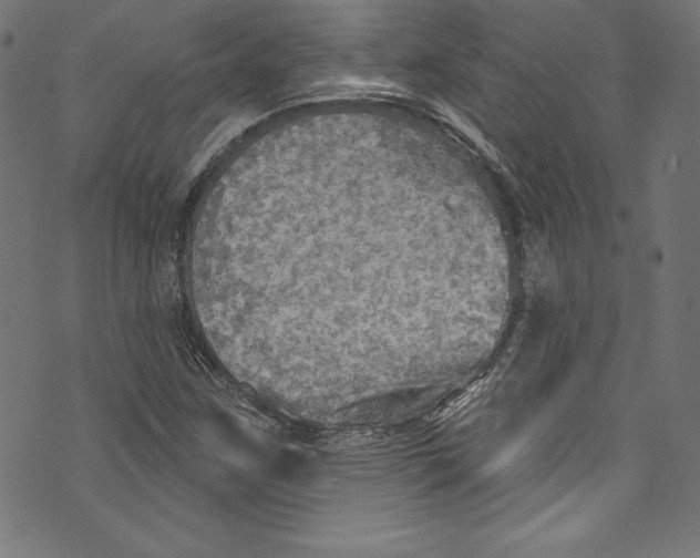 X0000072971259200608211313