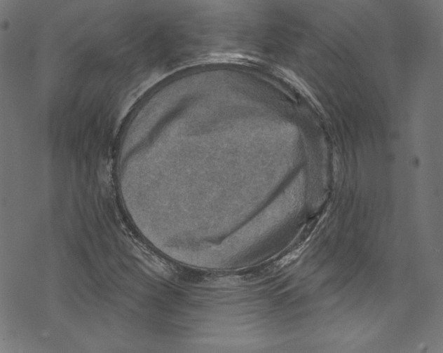 X0000072971260200608211313