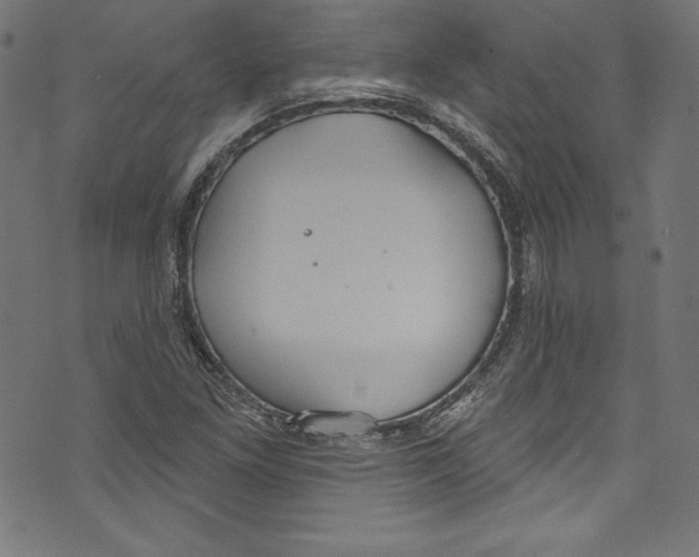 X0000072971261200608211313