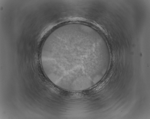 X0000072971263200608211313