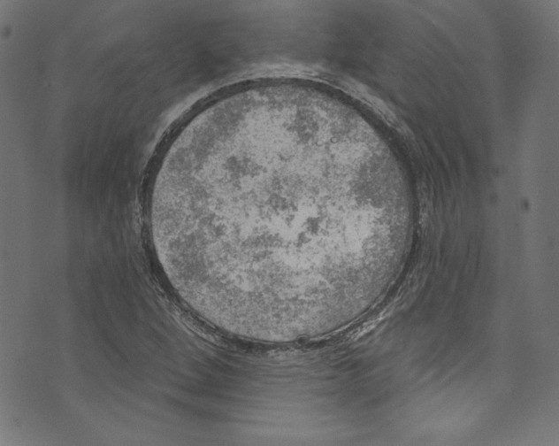 X0000072971264200608211313