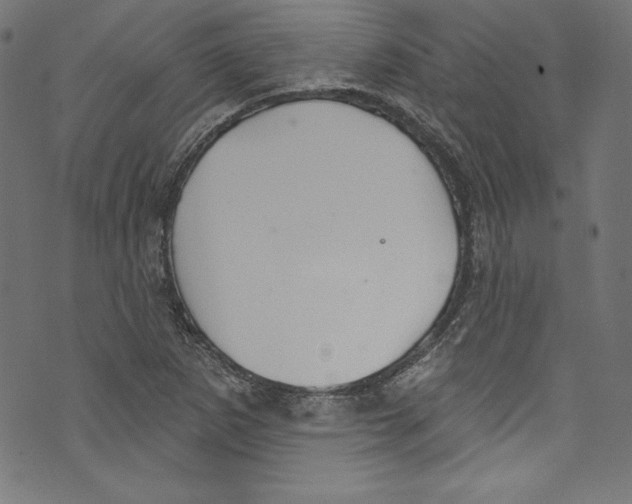 X0000072971265200608211313