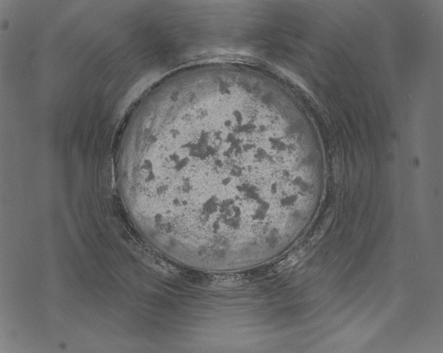 X0000072971267200608211313