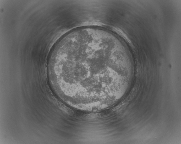 X0000072971268200608211313