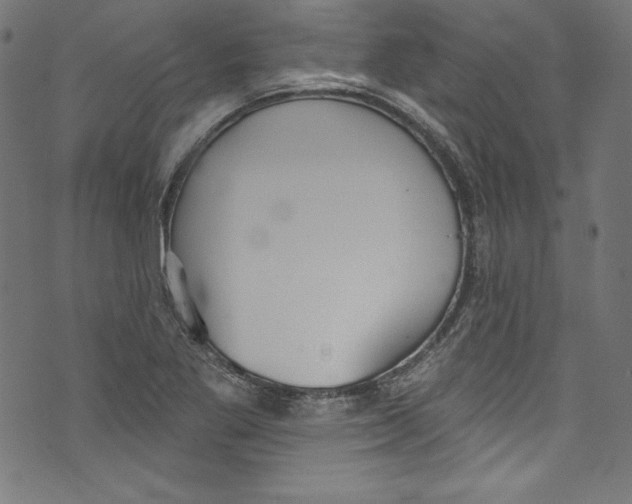 X0000072971269200608211313