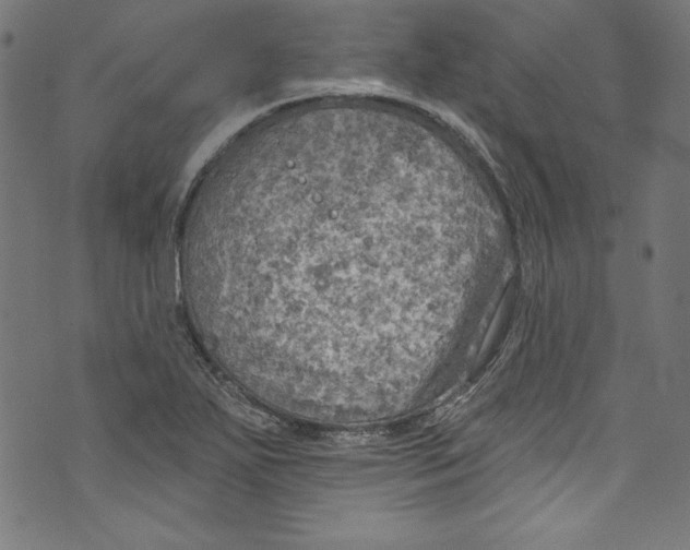 X0000072971271200608211313