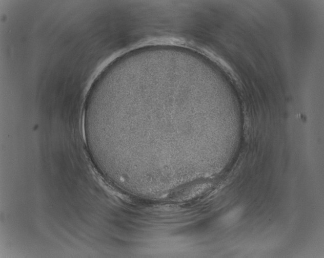 X0000072971272200608211313