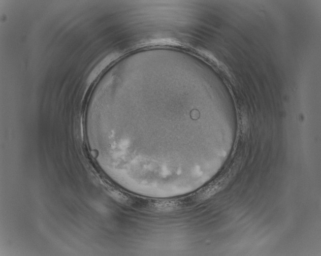 X0000072971274200608211313