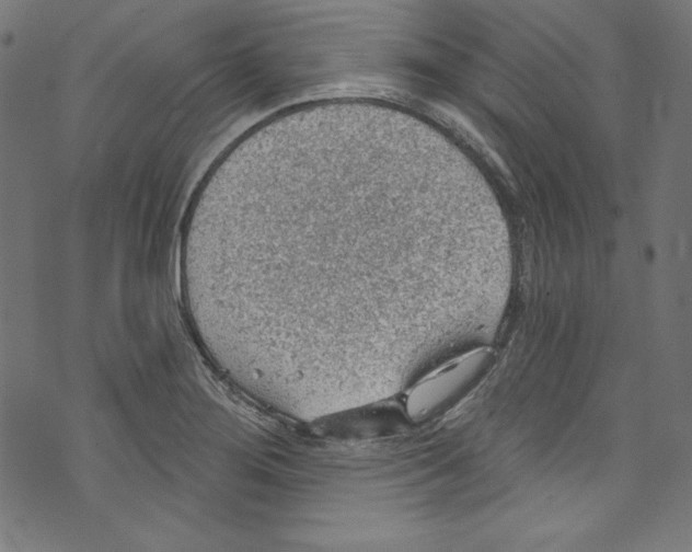 X0000072971276200608211313