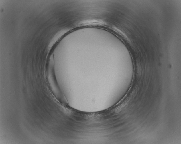 X0000072971277200608211313