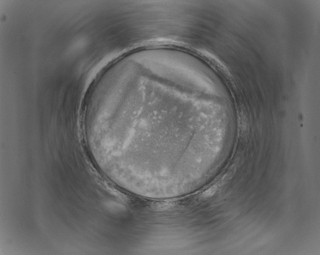 X0000072971278200608211313