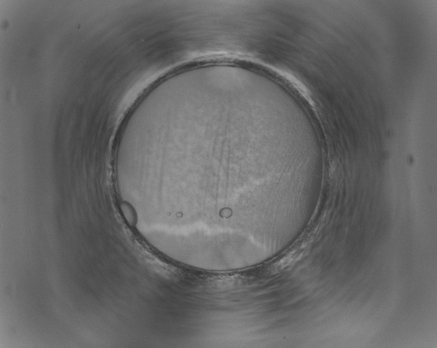 X0000072971279200608211313