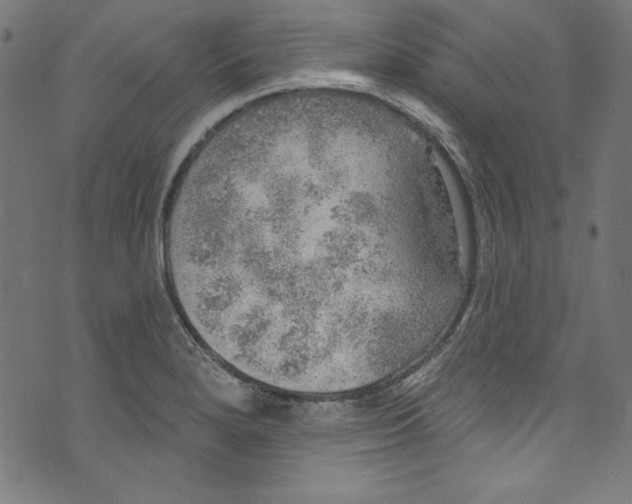 X0000072971280200608211313