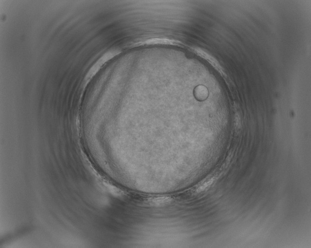 X0000072971282200608211312