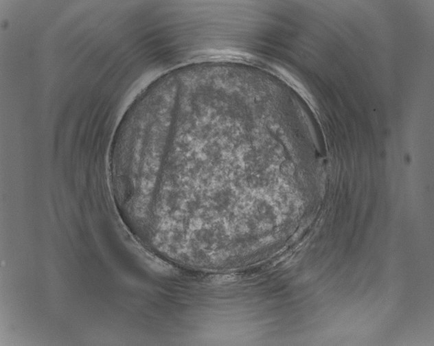 X0000072971283200608211312