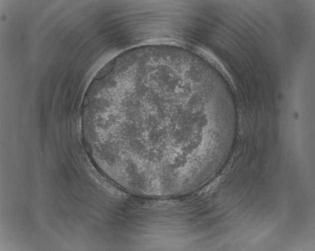 X0000072971284200608211312