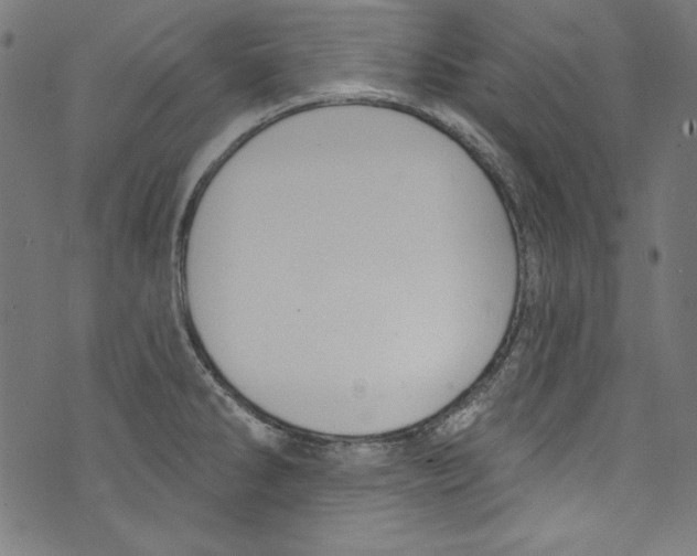 X0000072971286200608211312