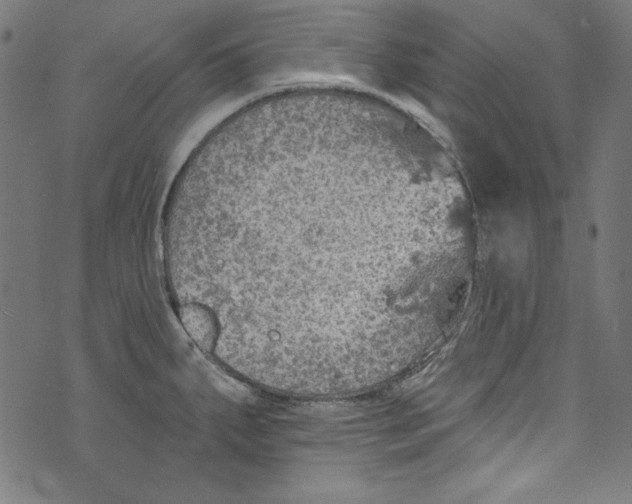 X0000072971287200608211312