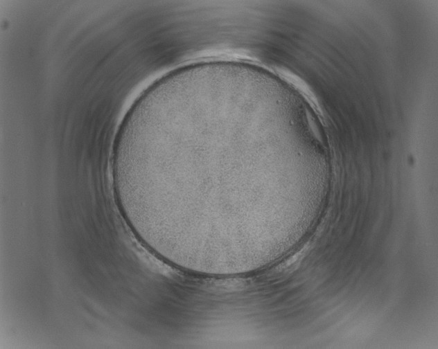 X0000072971288200608211312