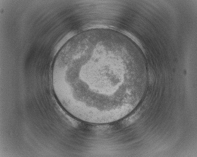 X0000072971290200608211312