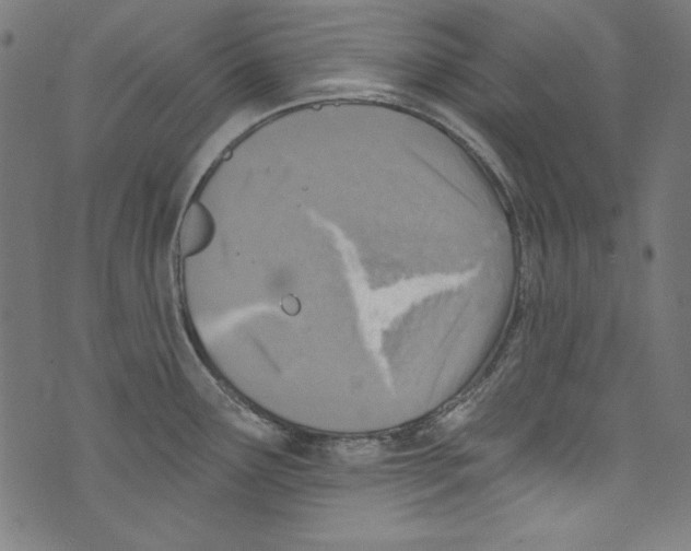 X0000072971291200608211312