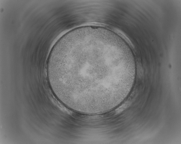 X0000072971292200608211312