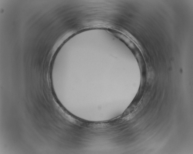 X0000072971293200608211312