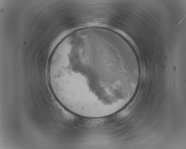 X0000072971294200608211312