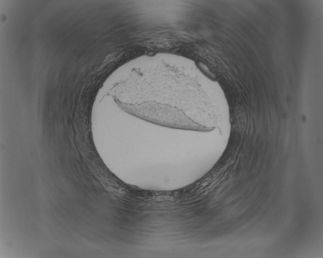 X0000072971297200608211311