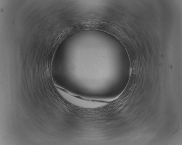 X0000072971298200608211311