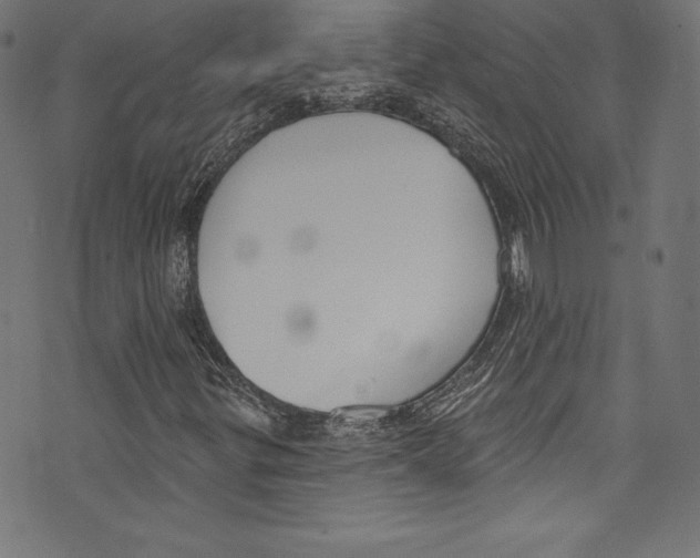 X0000072971299200608211312