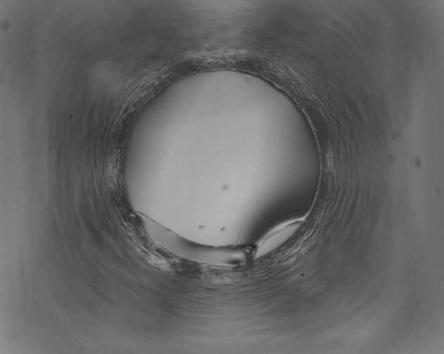 X0000072971300200608211312