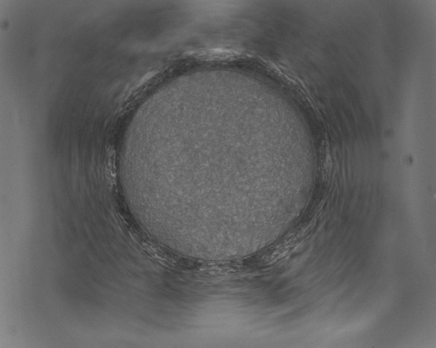 X0000072971301200608211312