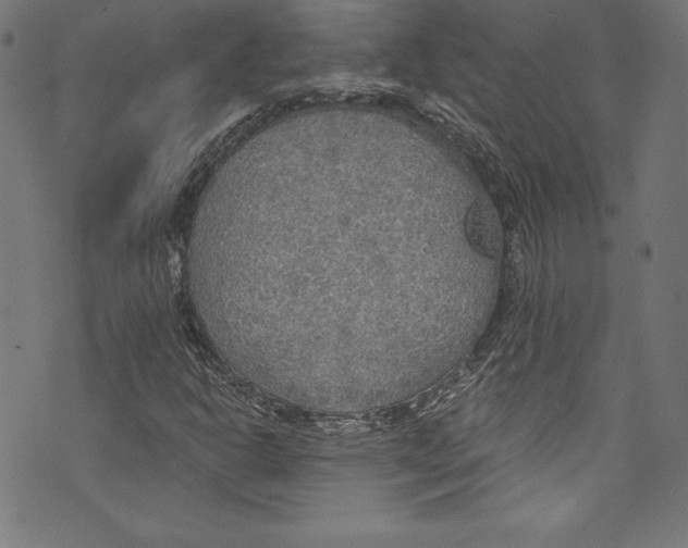 X0000072971302200608211312